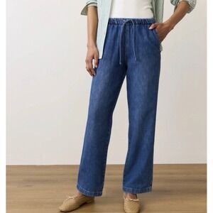 Marine Layer Drawstring Blue Denim Pant Size Lg